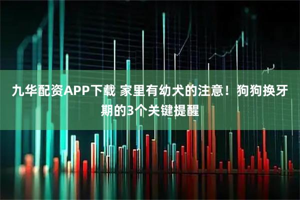九华配资APP下载 家里有幼犬的注意!狗狗换牙期的3个关键提醒